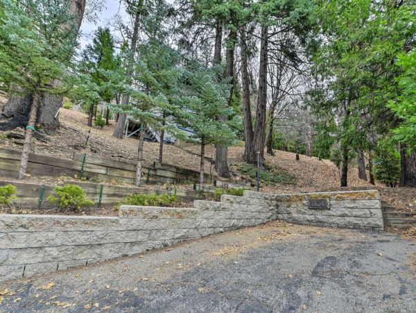 Big Bear Home 998086