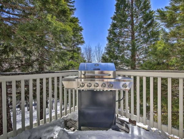 Big Bear Home 998087