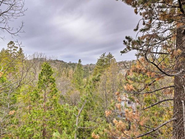 Big Bear Home 998092