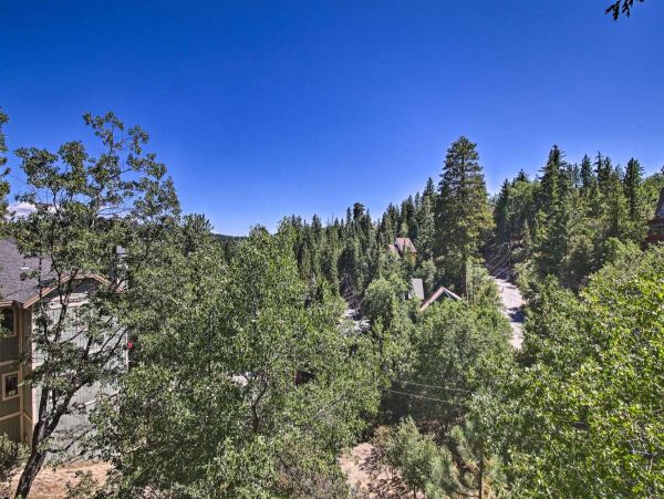 Big Bear Home 998096