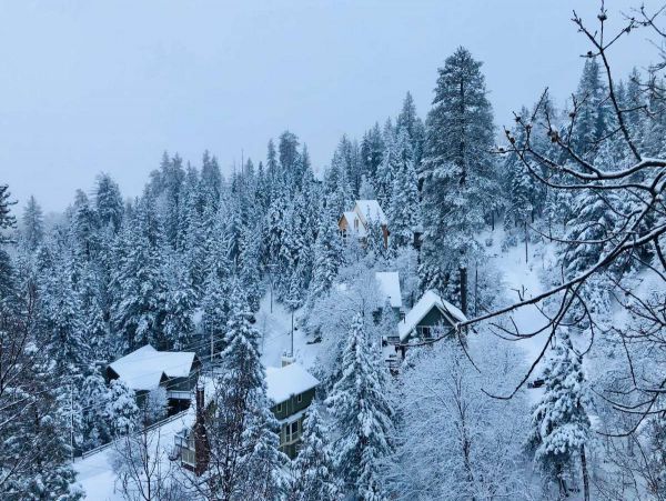 Big Bear Home 998096