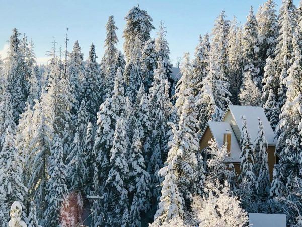 Big Bear Home 998096
