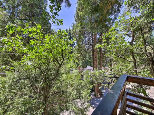Big Bear Home 998097