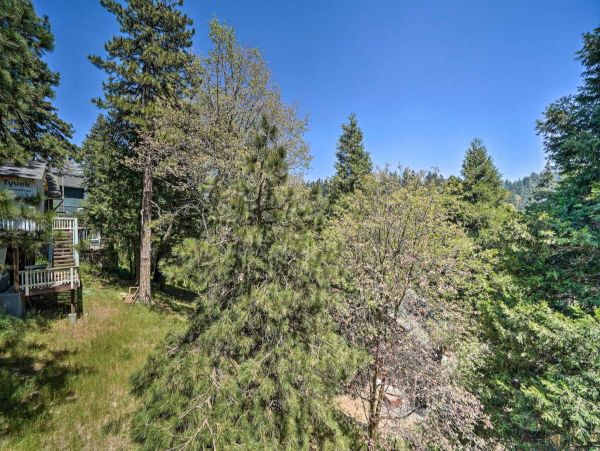 Big Bear Home 998103