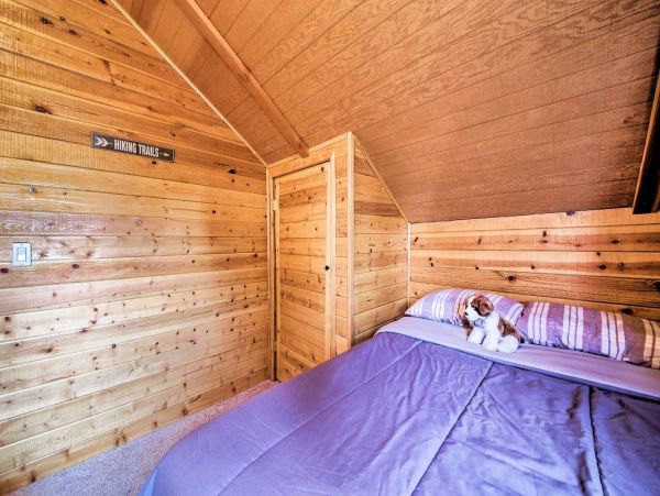 Big Bear Home 998107