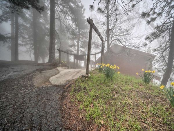 Big Bear Home 998110