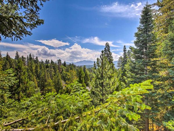 Big Bear Home 998121