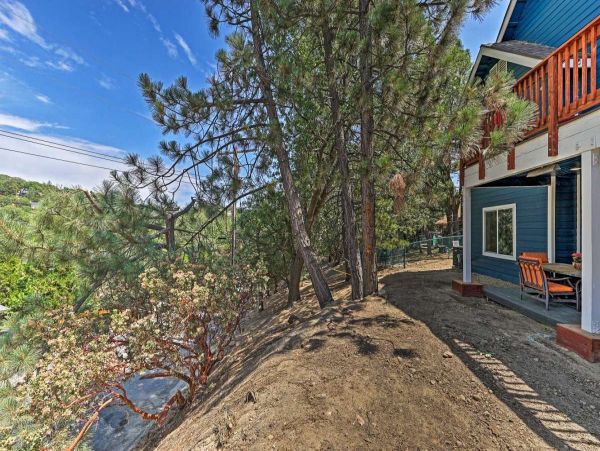 Big Bear Home 998126