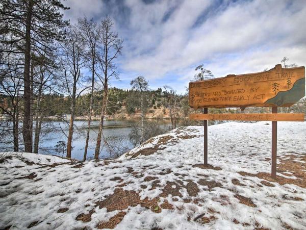 Big Bear Home 998133