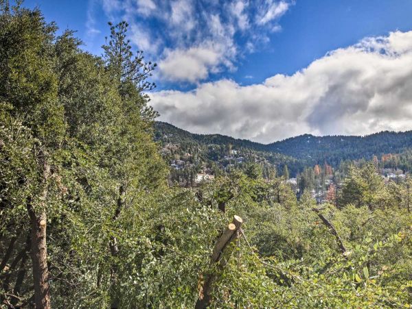 Big Bear Home 998133