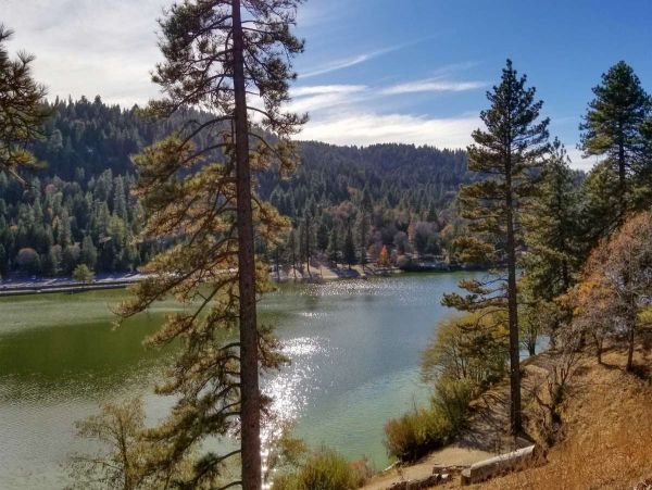Big Bear Home 998133
