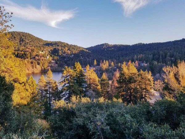 Big Bear Home 998133