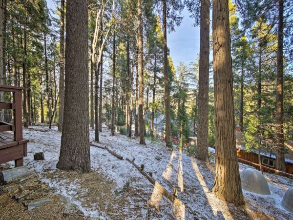 Big Bear Home 998134