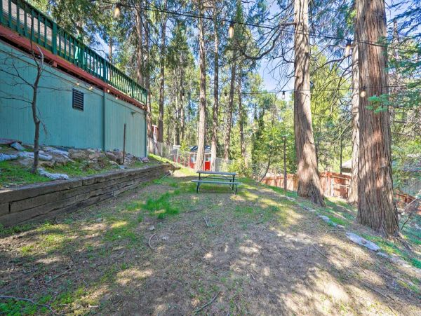 Big Bear Home 998137