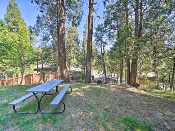 Big Bear Home 998137