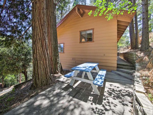 Big Bear Home 998139