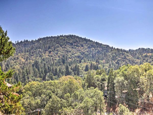 Big Bear Home 998140