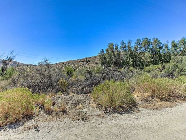 Big Bear Home 998143