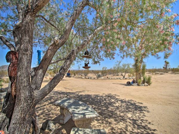Big Bear Home 998153
