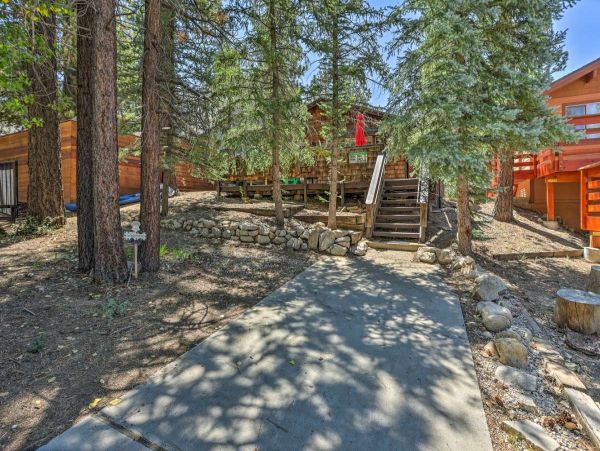 Big Bear Home 998181
