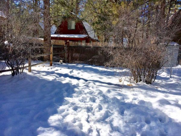 Big Bear Home 998189