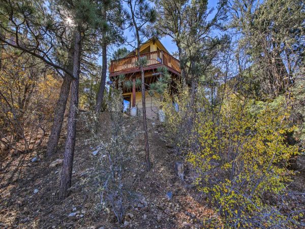 Big Bear Home 998190