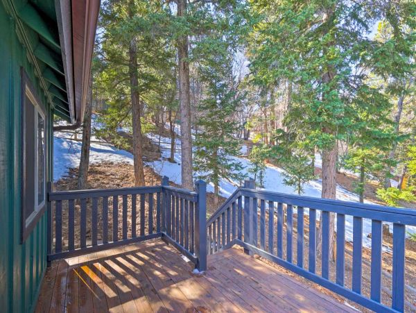 Big Bear Home 998196