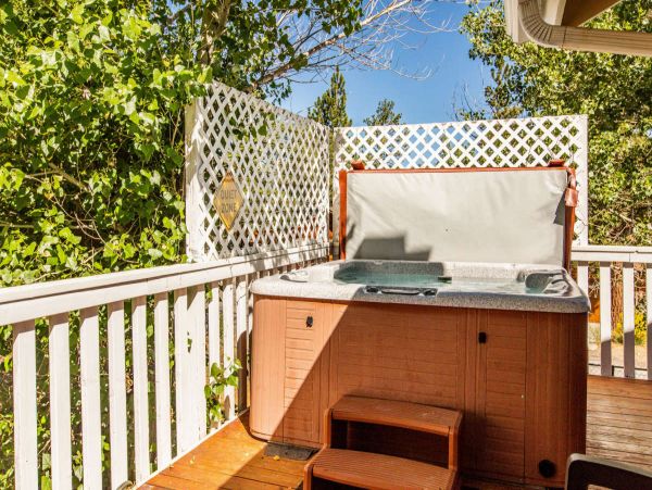 Big Bear Home 998198