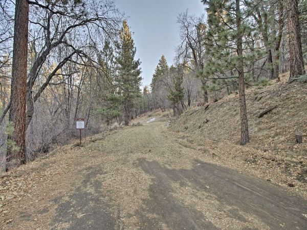 Big Bear Home 998199