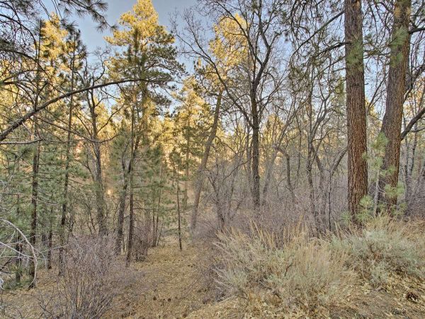 Big Bear Home 998199