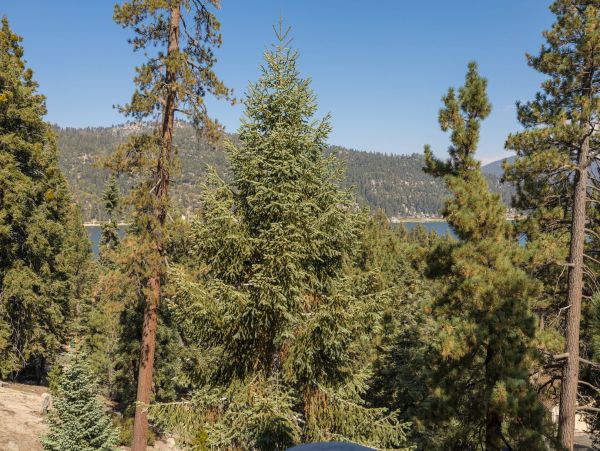 Lake Tahoe North Shore Home 998219