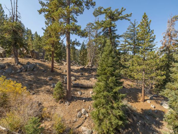 Lake Tahoe North Shore Home 998219