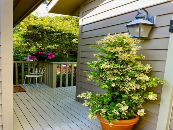 Lake Tahoe North Shore Home 998241