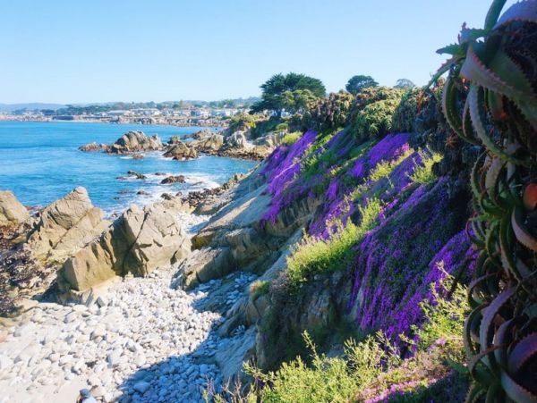Santa Cruz County Home 998289