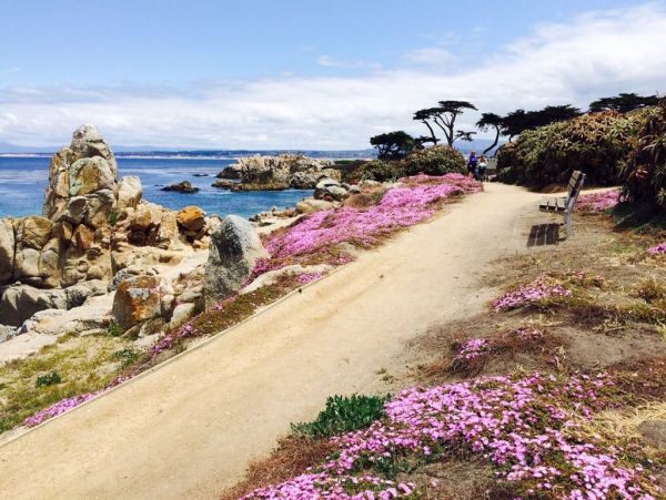 Santa Cruz County Home 998289