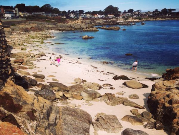 Santa Cruz County Home 998289