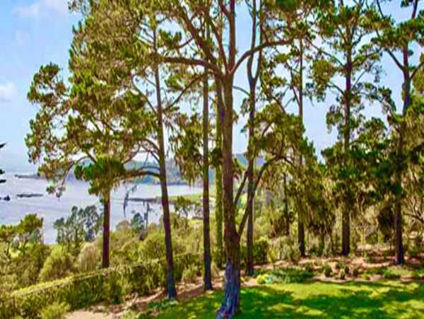 Santa Cruz County Home 998291