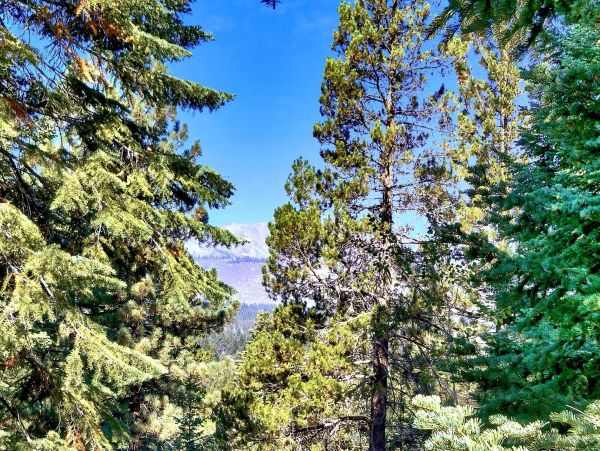 Beautiful South Lake Tahoe 6 Bedroom Home Sleeps 14
