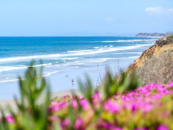 San Diego Beach Communities North Home 998338