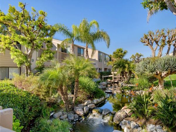 Solana Beach Oceanfront Vacation Condo Sleeps 5 Guests