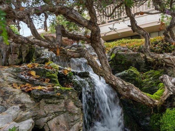San Diego Beach Communities North Home 998344
