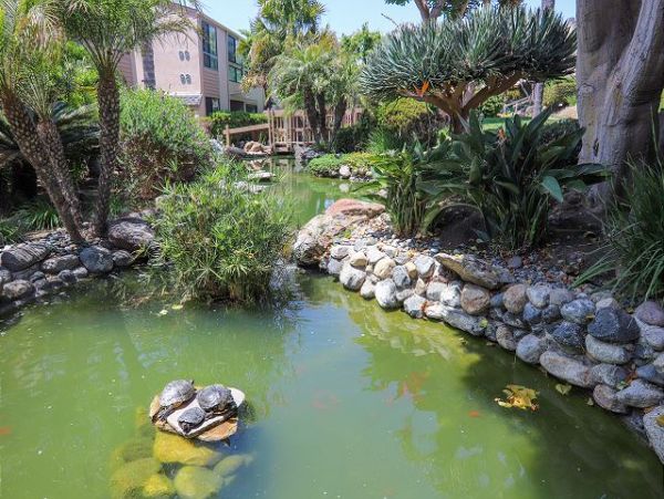 San Diego Beach Communities North Home 998346
