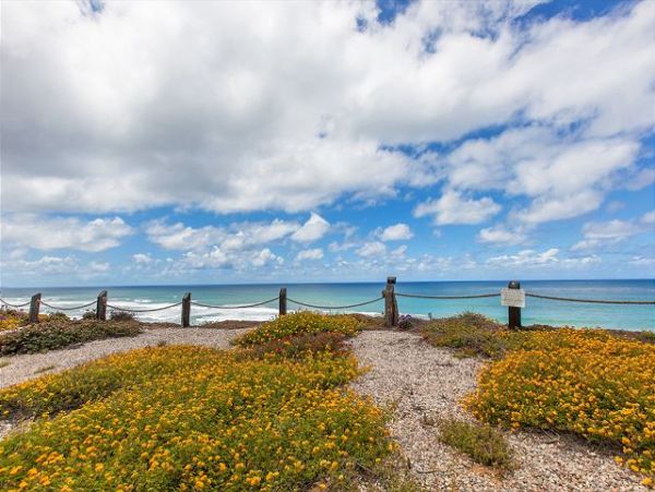 San Diego Beach Communities North Home 998381