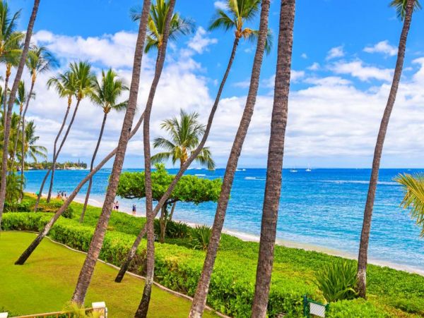 Luxurious 3 Bedroom Oceanfront Vacation Condo in Lahaina