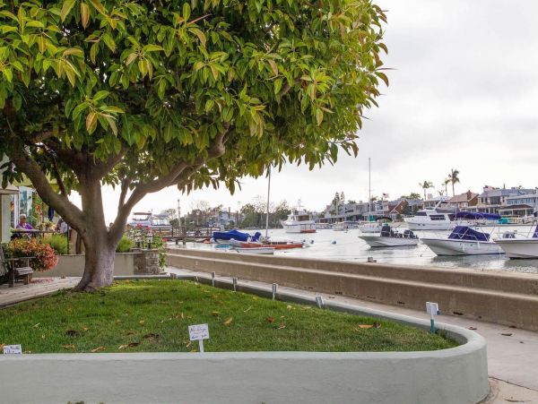 Newport Beach Condo 998474