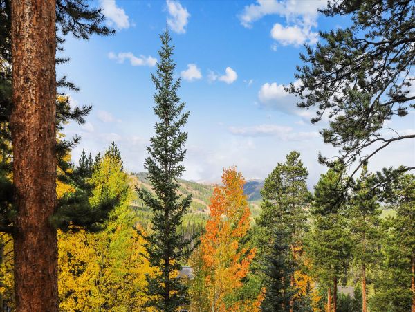 5 Bedrooms Vacation Home in Breckenridge Sleeps 14 Guests