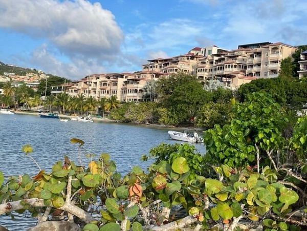 Beautiful St. John Vacation Condo with Ocean Views & Pool Cruz Bay