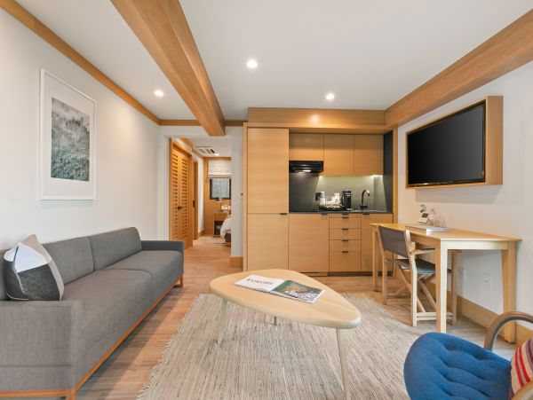 Malibu Condo 998542