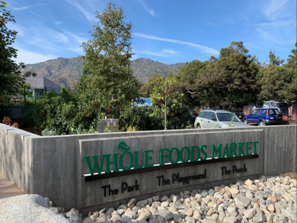 Malibu Condo 998543