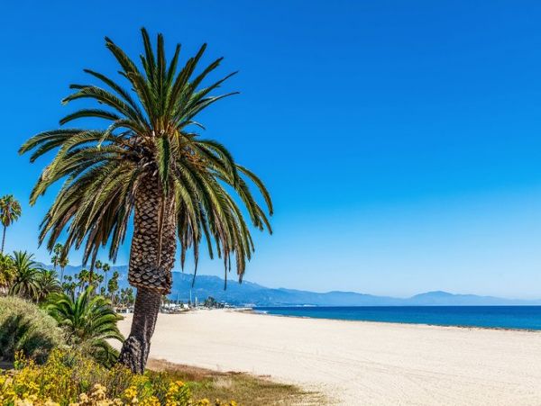Six Bedroom Estate Short Walk to Beach in Montecito